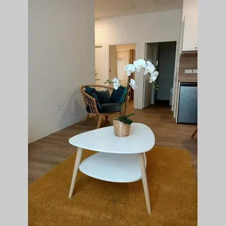 Appartement Comédie Gare St Roch *