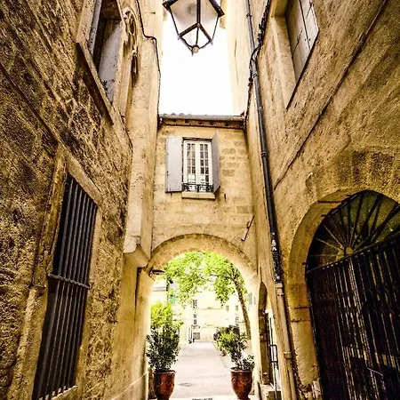 Appartement Comédie Gare St Roch Montpellier