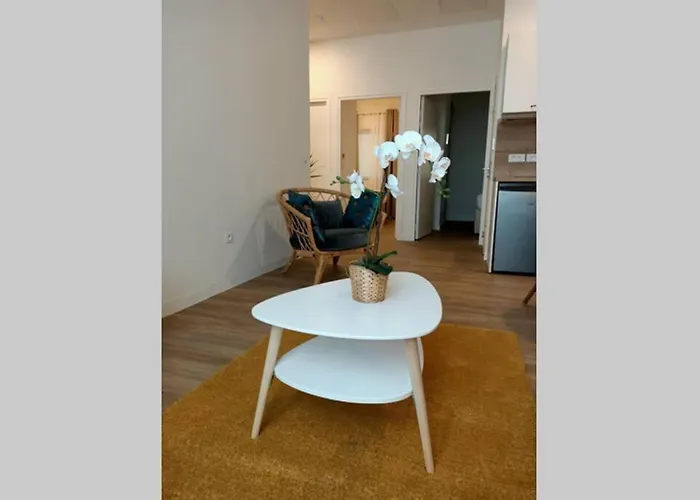 Apartment Comedie Gare St Roch *